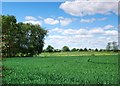 Farmland near The Handfords