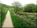 Footpath towards Tunnel End