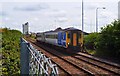 TM5393 : 156402 heads a train to Norwich by Ashley Dace
