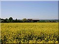 Manor Farm from bridleway to Berryfields Lane