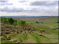 A  clear view  from  Highcliff  Nab  to  the  south