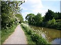 Stratford-upon-Avon Canal below Bridge 63