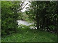 River Tay, Cluny