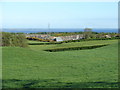 Ballybarnes Quarry and Strangford Lough