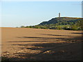 Scrabo Hill