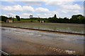 Watercress beds in Headbourne Worthy