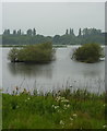 By the lake at the old gravel pits