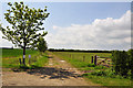 Track and footpath - Scredington