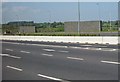 O1069 : Windbreaks on the M1 north of the Balgeen Toll Plaza by Eric Jones