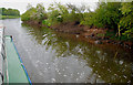 The River Bann near Carnroe