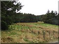 Field, Windy House