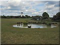 TQ2908 : Green Ridge Dew Pond by Paul Gillett
