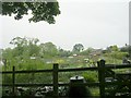 Allotments near Cemetery