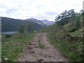 NN3211 : Small track above Loch Lomond by Stephen Sweeney