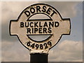 SY6482 : Buckland Ripers: finger-post detail by Chris Downer