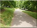 Newport : path from southwest entrance of Belle Vue Park