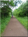 Trans Pennine Trail - Lymm