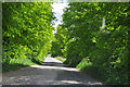 Road to Haverholme Priory and lock