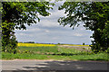 Gap in a wooded hedge - Haverholme