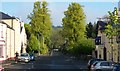 Castle Avenue, Castlewellan