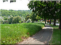 Rectory Park, Sanderstead