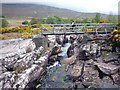 Footbridge over the River Runie