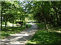 Path near Rose Garden, Stanley Park