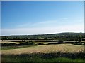 Harvested hay fields between Church Hill Road and Carnacaville Road