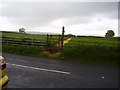 Footpath on the Shirwell Road