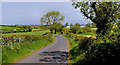 The Tower Road near Loughbrickland (2)