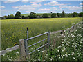 Bridleway gate near Chesterton Green