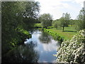 River Idle at Mattersey looking West