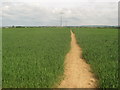 Footpath towards Sevington