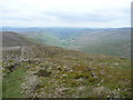 SJ0834 : The path northeast from Cadair Bronwen by Jeremy Bolwell