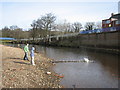 Wansbeck River, Morpeth