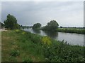 River Trent downstream of Swarkestone Bridge