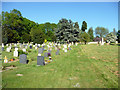 Churchyard, St Mary the Virgin, Braughing