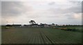 A potato field adjoining Leestone Lane