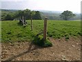 Fence above Newpark