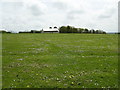 Playing field, Letterston