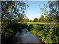 River Rib near Latchford