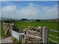 Dry stone wall, trough and Barmoor Farm