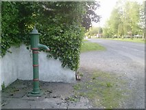N9653 : Pump, Co Meath by C O'Flanagan