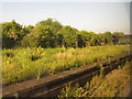 Honeybourne Station - disused island platform