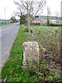 Milestone, Copenacre