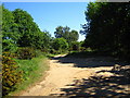 Bridleway to Bromeswell Heath