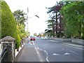 Manse Road near the junction with Irvington Avenue