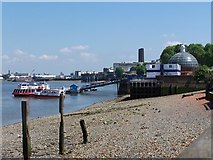 TQ3877 : Greenwich Pier by David Martin