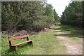 Bench in Roseisle Forest