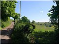 Near Whelmstone Barton